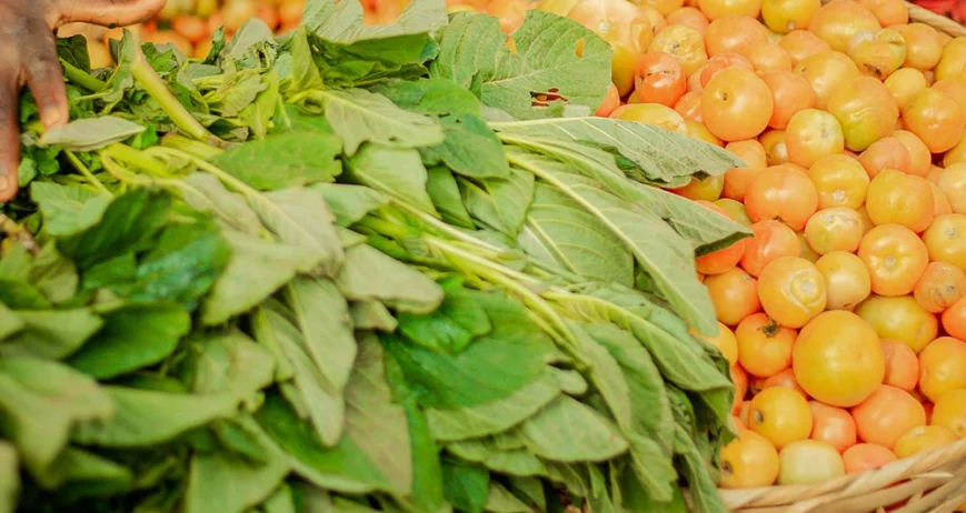 Ultrices sagittis orci a scelerisque purus semper eget duis at. Sollicitudin nibh sit amet.