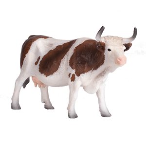 Simmental Cattle